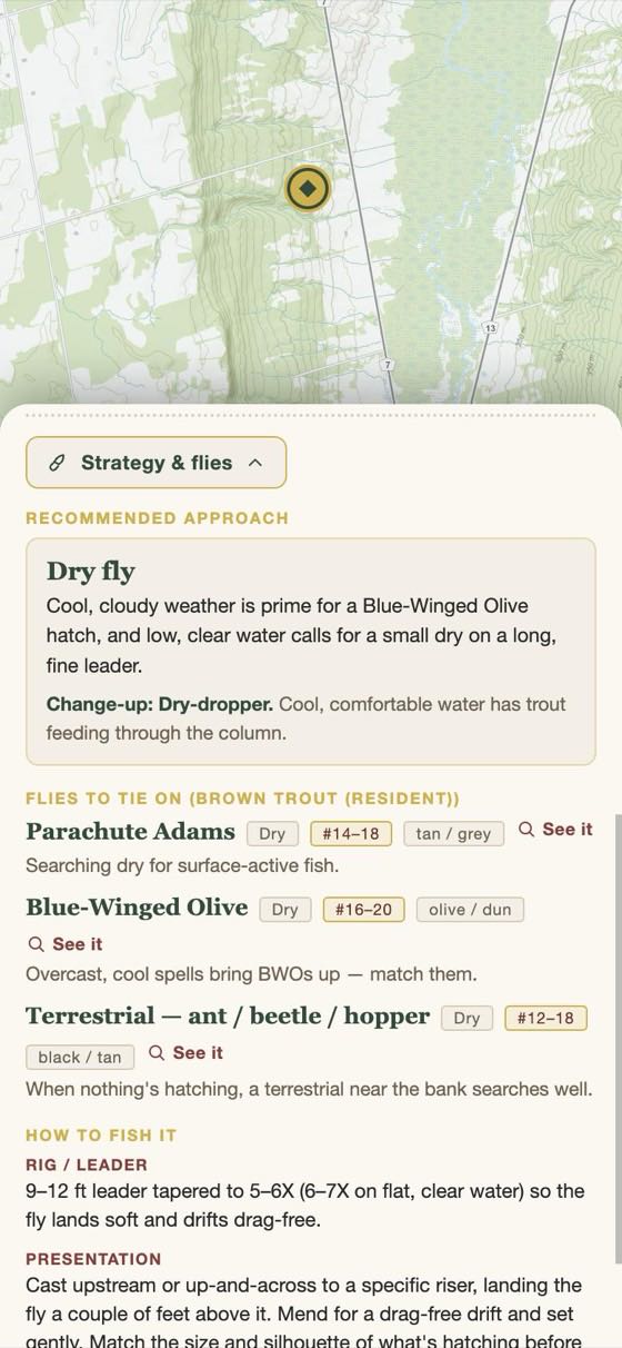 Today's recommended approach and flies for a river