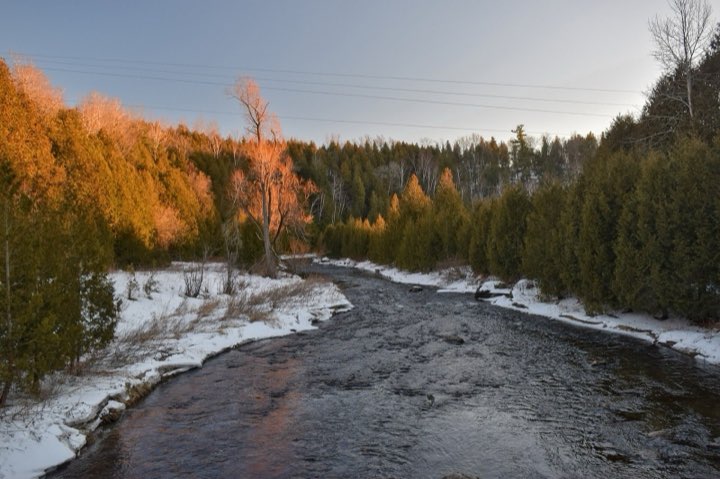 The Credit River at Forks of the Credit Provincial Park in winter